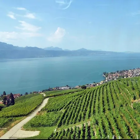 Apartament Doux Rayon *