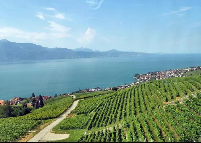 דירה Doux Rayon *